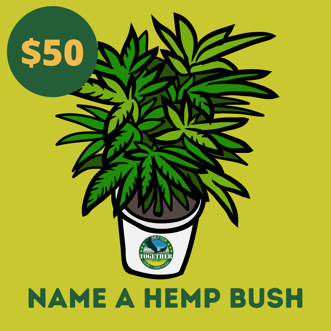 Can You Name A Plant After Someone